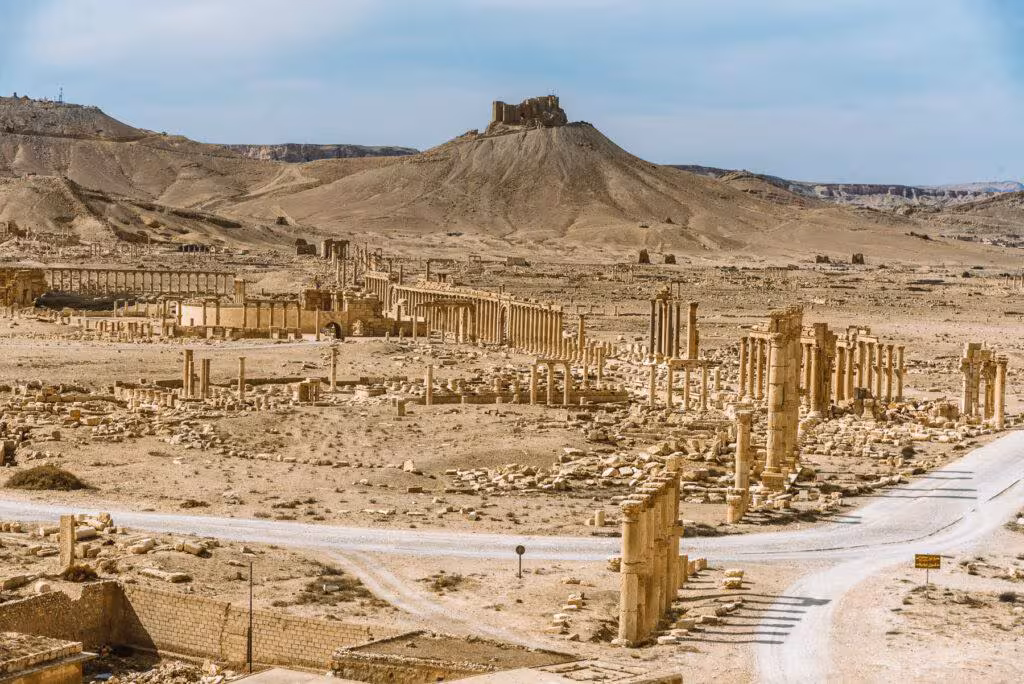 Palmyra