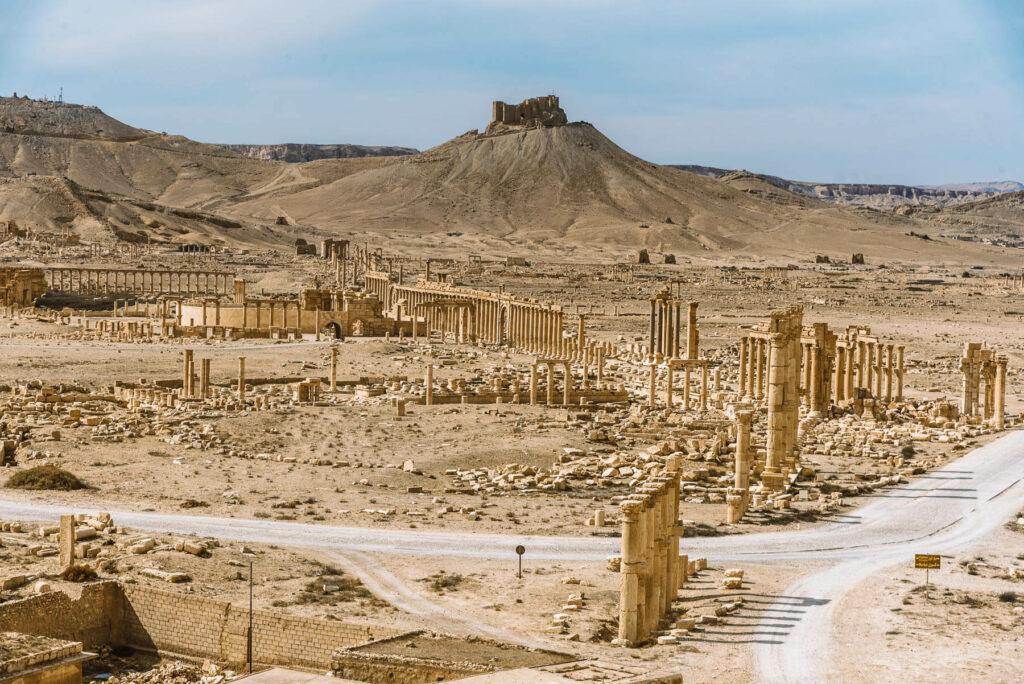 Palmyra