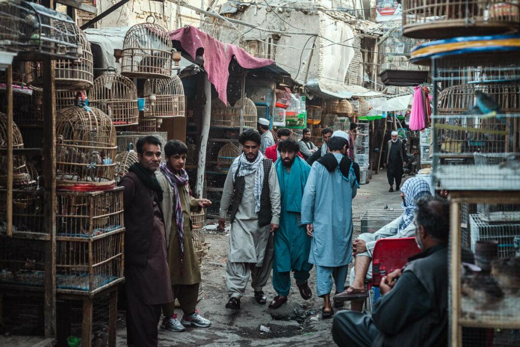 Mercado de aves Kabul