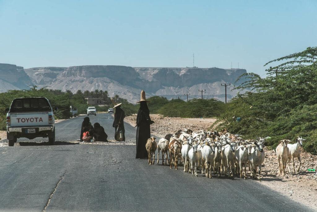 El camino a Mukalla
