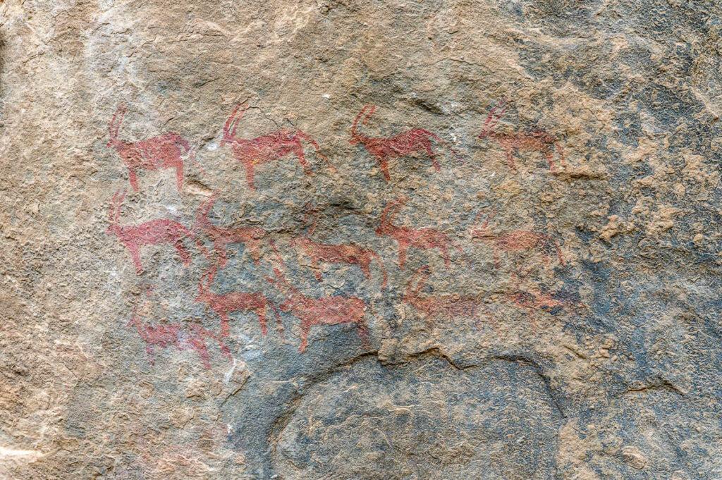 rock art Senafe Eritrea