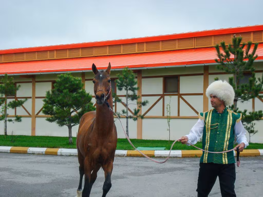 Granja de caballos en Turkmenistán