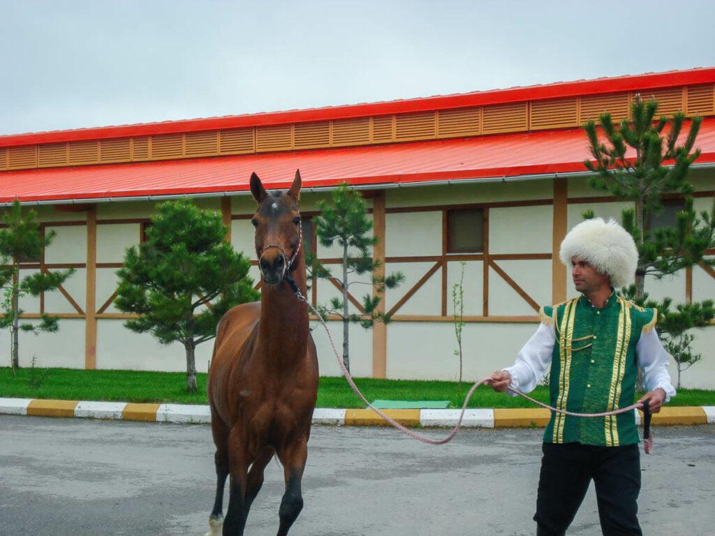 Granja de caballos en Turkmenistán