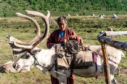 North Mongolia: Reindeer herders & yak breeders Round 3